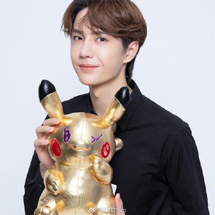 揭秘查王中王一肖中特，探尋背后的秘密，揭秘查王中王一肖中特背后的秘密真相