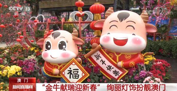 澳門金牛網(wǎng)金牛版論壇——探索與解析，澳門金牛網(wǎng)金牛版論壇，深度探索與解析