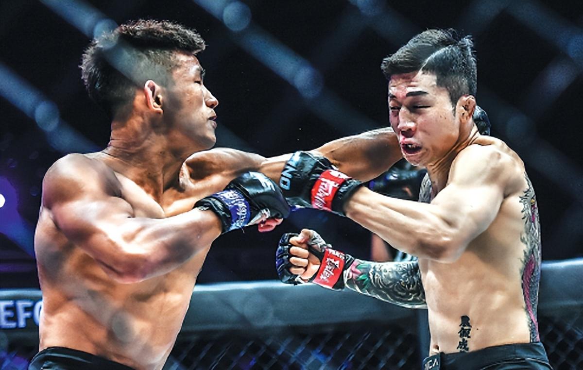 王中王07期指一生肖，深度解析與預(yù)測(cè)，王中王07期指一生肖，深度解析、預(yù)測(cè)與運(yùn)勢(shì)探討