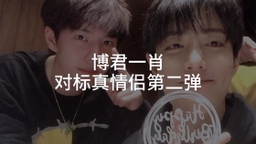 一肖拖一肖二中二有幾組——深度解析與探索，深度解析與探索，一肖拖一肖二中二有多少組組合？