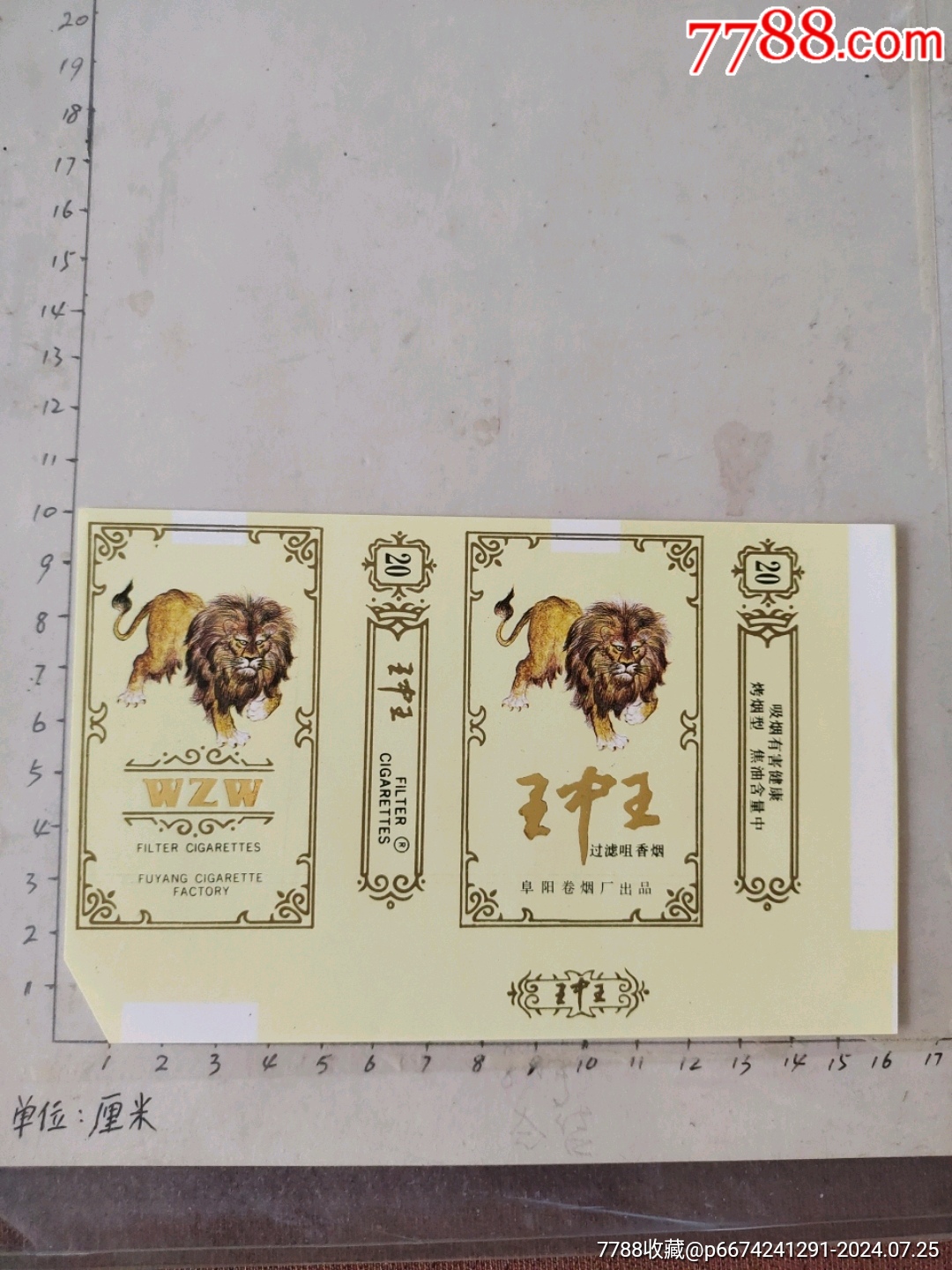揭秘4788王中王一肖中特——探索獨特魅力的奧秘，揭秘王中王一肖中特獨特魅力的奧秘探索
