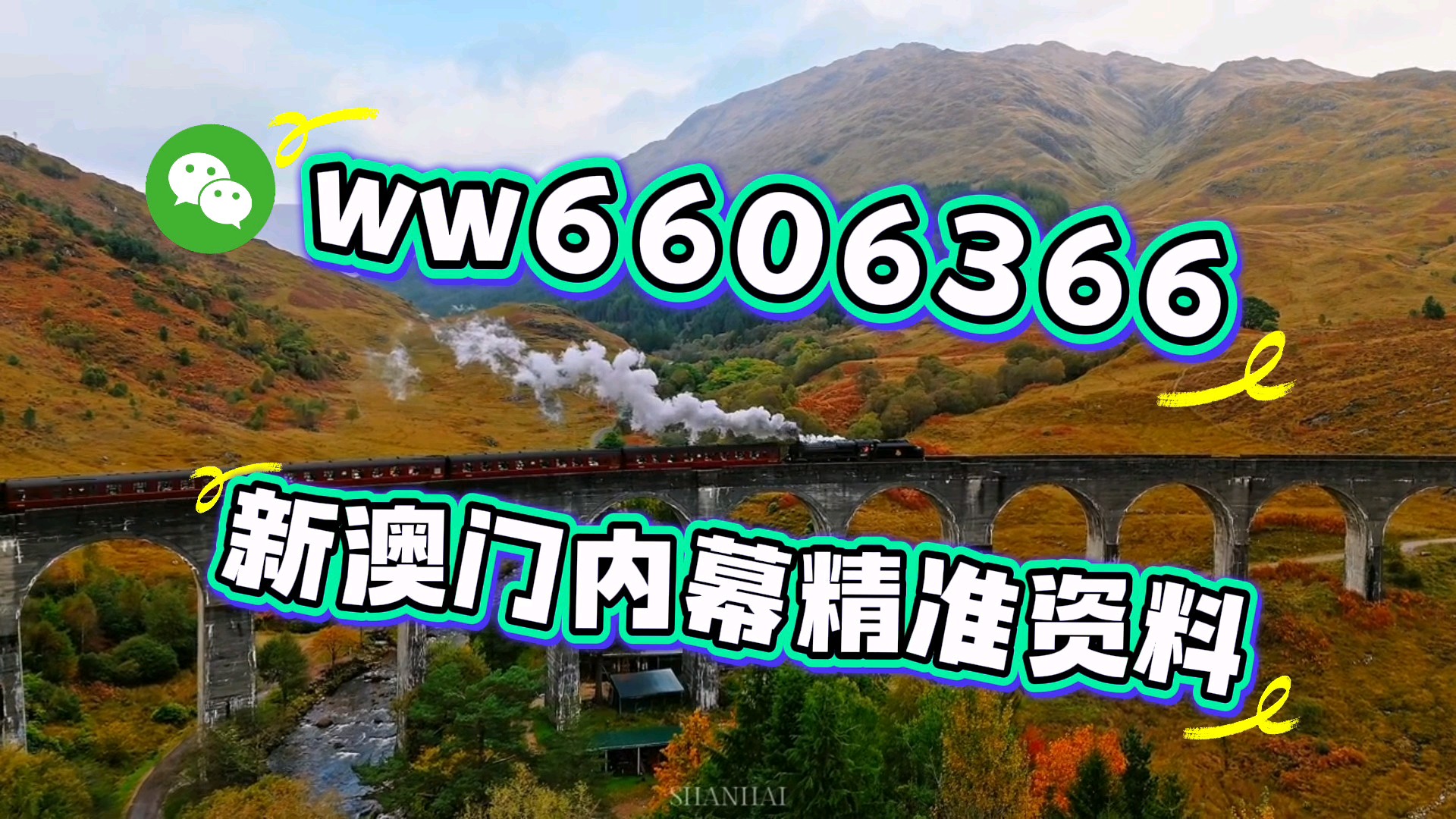 澳門一肖一碼期期準必開一肖，揭秘彩票背后的秘密與策略，揭秘澳門彩票背后的秘密策略與期期必開一肖的真相