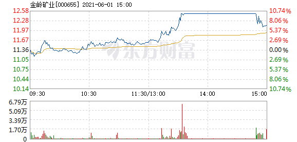 金嶺礦業(yè)股票，投資潛力與前景展望，金嶺礦業(yè)股票投資潛力與前景展望分析