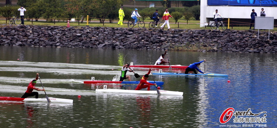 王中王選一肖一馬期期中，揭秘彩票背后的秘密策略，揭秘彩票背后的秘密策略，王中王選一肖一馬期期中之道