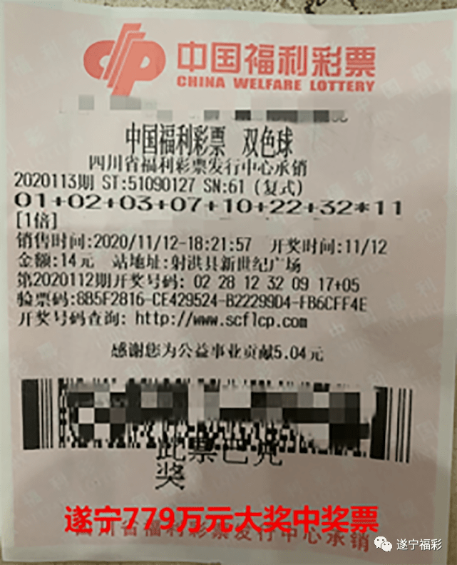 王中王遂寧平臺一肖中特，深度解析與SEO優(yōu)化策略，王中王遂寧平臺一肖中特深度解析與SEO優(yōu)化策略探討