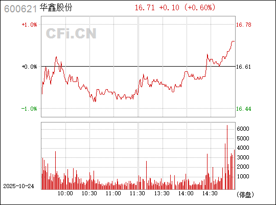華鑫股份股票，投資潛力與市場前景分析，華鑫股份股票投資潛力與市場前景深度解析