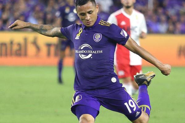 管家婆必中一肖圖正版，揭秘彩票背后的秘密與策略，揭秘彩票背后的秘密與策略，管家婆必中一肖圖正版分析