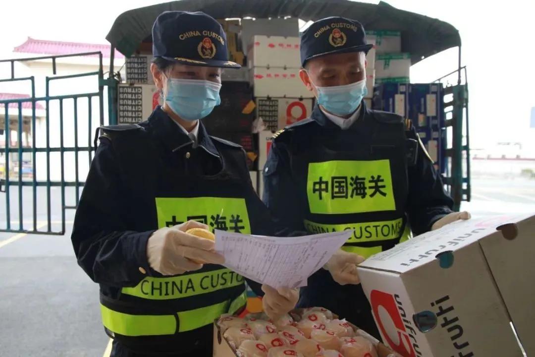 澳門彩票開獎結(jié)果快速揭曉，探索最新開獎動態(tài)與中獎秘籍，澳門彩票最新開獎結(jié)果及中獎秘籍探索