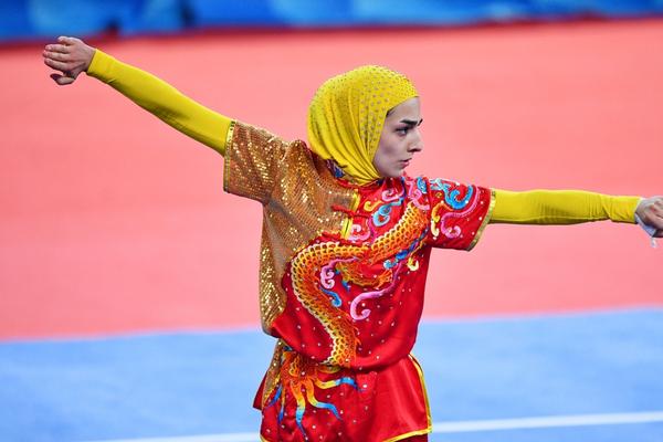 揭秘504王中王一肖，背后的故事與傳奇，揭秘王中王一肖傳奇，背后的故事與神秘面紗