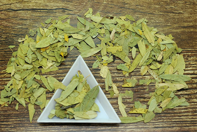 番瀉葉的功效與作用，番瀉葉的功效與作用簡介