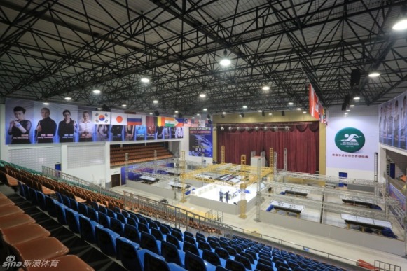 王中王一肖一馬中特平臺，探索與解析，王中王一肖一馬中特平臺深度探索與解析