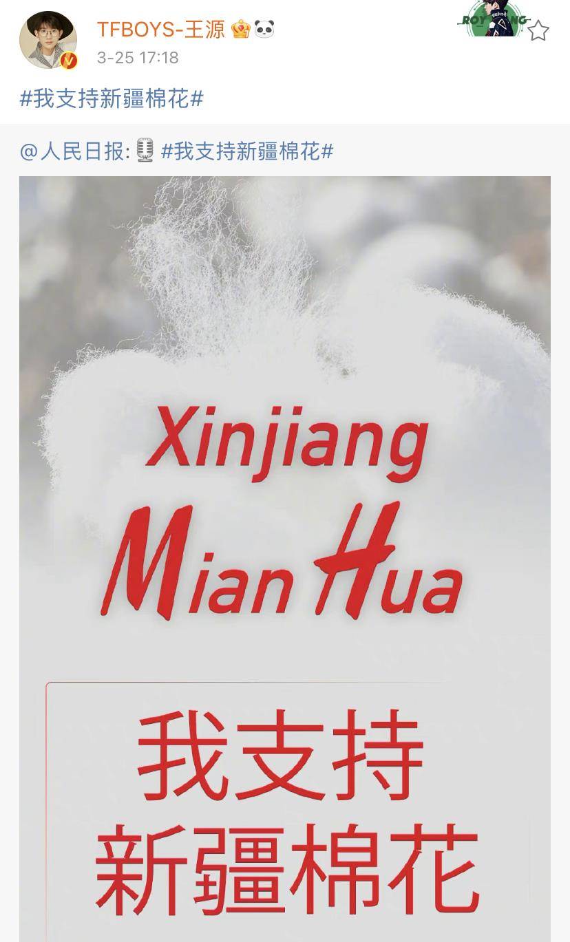 曾夫人王中王精準(zhǔn)一肖，揭秘生肖預(yù)測的魅力與真相，揭秘生肖預(yù)測真相，曾夫人王中王精準(zhǔn)一肖的魅力與探討