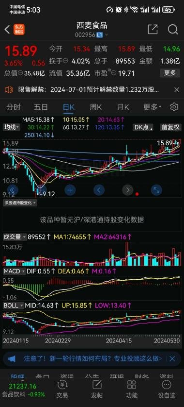 揭秘股票代碼002956，投資潛力與風險控制策略分析，揭秘股票代碼002956，投資潛力與風險控制策略深度解析