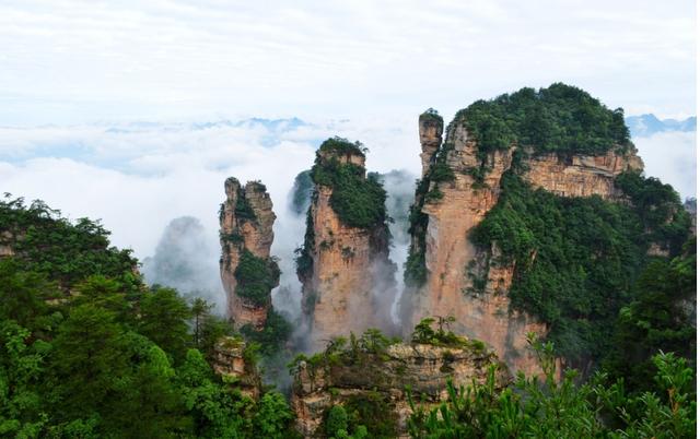 張家界森林公園簡(jiǎn)介，自然之美的獨(dú)特呈現(xiàn)，張家界森林公園，自然之美的獨(dú)特呈現(xiàn)