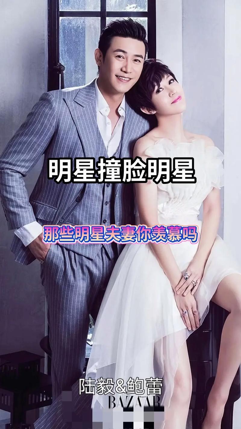 明星夫妻名單大全，揭秘娛樂圈的愛情佳話，娛樂圈明星夫妻名單揭秘，愛情佳話大全