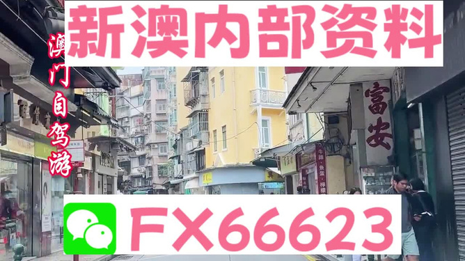新澳精準(zhǔn)資料免費提供，探索與解析，新澳精準(zhǔn)資料解析與探索，免費提供的深度洞察