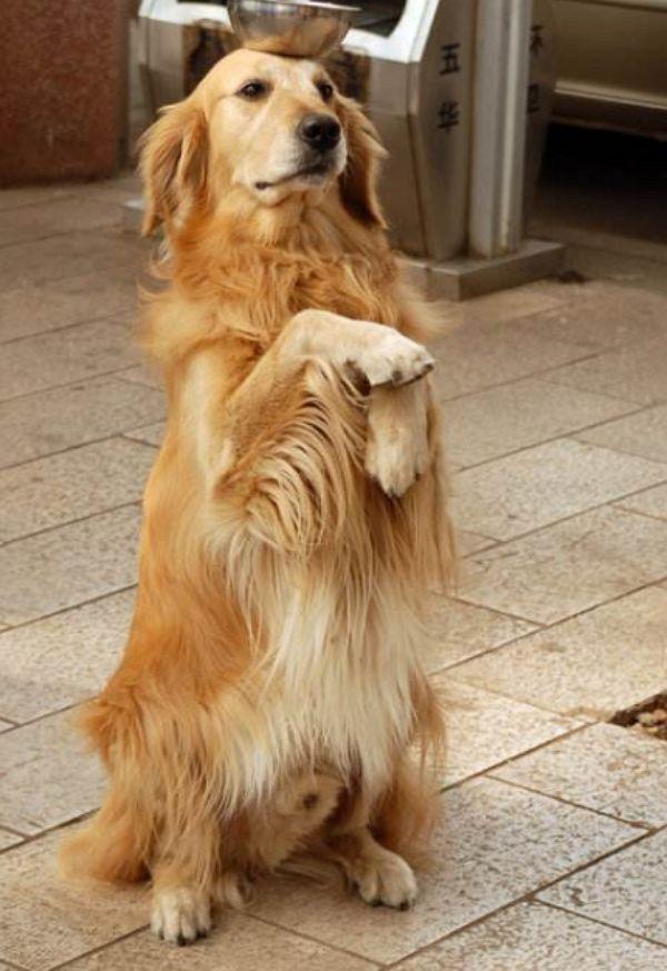 懷孕頭三個月，慎談喜事，關愛健康，懷孕頭三個月，謹慎談喜，重視健康關愛