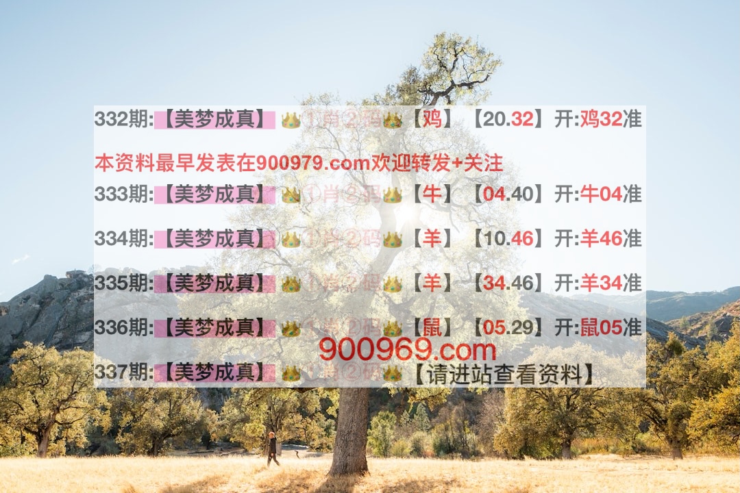 澳門寶典，探索最快開獎結(jié)果及其魅力，澳門寶典，探索最新開獎速度與魅力所在