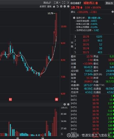 關(guān)于股票行情深度解析，聚焦603887股票動態(tài)，股票行情深度解析，聚焦代碼為603887的股票動態(tài)