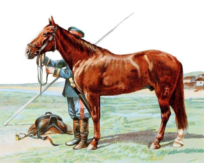 伊犁，探尋新疆的明珠之地的獨特魅力，伊犁，新疆明珠的獨特魅力探尋之旅