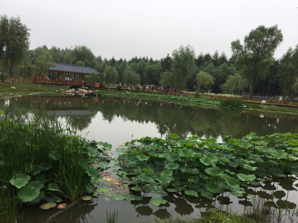 長春一日游哪里好玩？精選一日游景點推薦，長春一日游精選景點推薦，探尋最佳一日游路線！