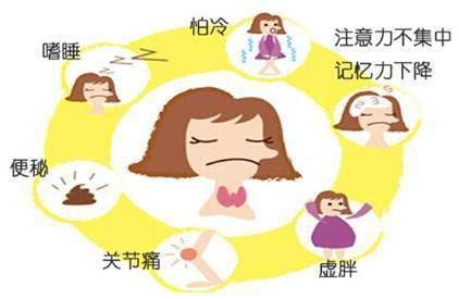 甲減的癥狀與危害，深入了解甲狀腺功能減退的影響，甲狀腺功能減退的影響及癥狀詳解，深入了解甲減的危害