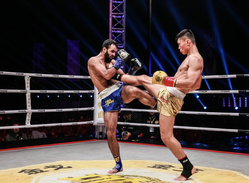 王中王網(wǎng)四肖主一碼，深度解析與SEO優(yōu)化策略，王中王網(wǎng)四肖主一碼，深度解析與SEO優(yōu)化策略全攻略