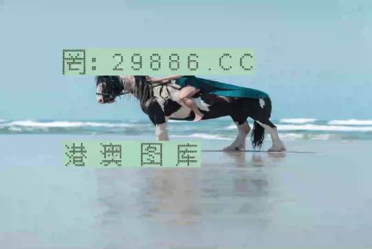 澳門新彩一碼精準(zhǔn)，揭秘彩票預(yù)測(cè)的秘密，澳門新彩一碼精準(zhǔn)揭秘，彩票預(yù)測(cè)背后的秘密之道