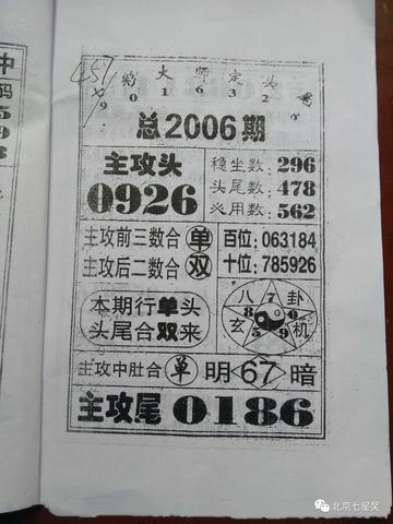 王中王四馬一肖，探尋背后的故事與奧秘，王中王四馬一肖，背后的故事與奧秘探尋