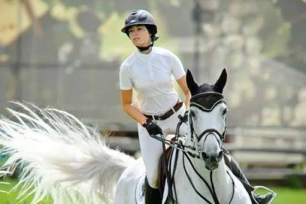 揭秘劉伯溫四肖選一碼的秘密，傳奇人物背后的故事與智慧，劉伯溫四肖選一碼揭秘，傳奇人物背后的秘密與智慧