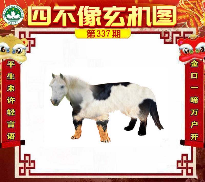 揭秘王中王四不象必中一肖的神秘面紗，揭秘王中王四不象必中生肖的神秘面紗