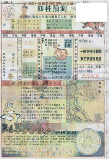 王中王動(dòng)物一肖圖，深度解析與SEO優(yōu)化，王中王動(dòng)物一肖圖深度解析與SEO優(yōu)化策略探討