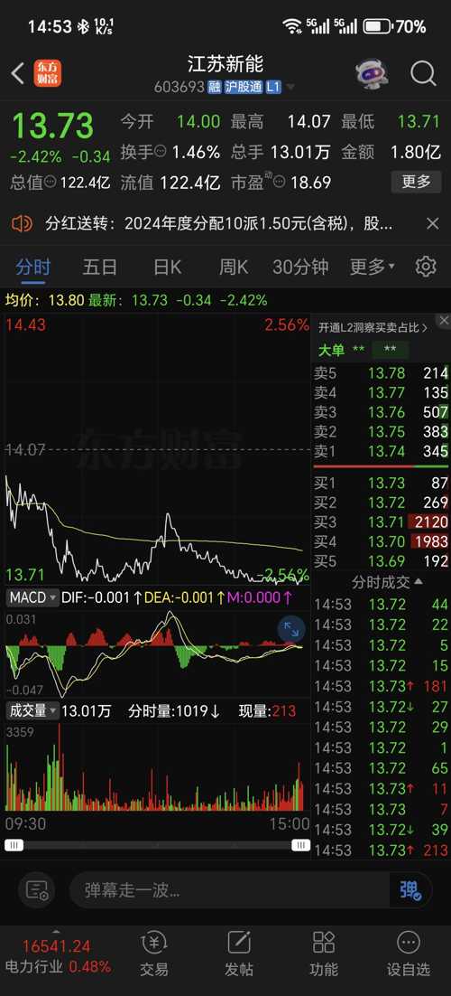 江蘇新能股票，投資潛力與市場前景分析，江蘇新能股票投資潛力與市場前景深度解析