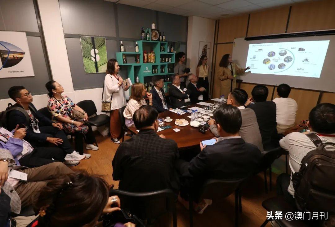 最新澳門六合開彩，探索與解析，澳門六合開彩最新解析與探索