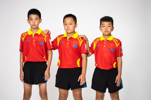 王中王白小姐四肖選一，揭秘背后的秘密與策略，揭秘王中王白小姐四肖選一背后的秘密與策略之道