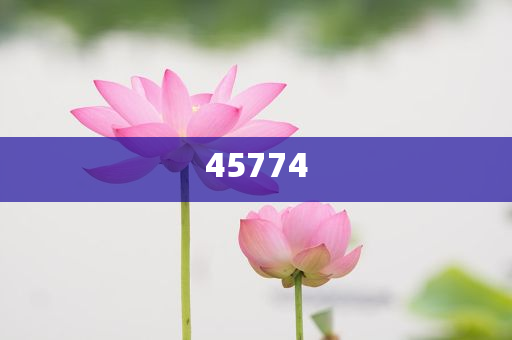 探索澳門正版免費(fèi)資源，未來(lái)的趨勢(shì)與預(yù)測(cè)（至2025年），澳門正版免費(fèi)資源趨勢(shì)探索與預(yù)測(cè)，未來(lái)展望至2025年