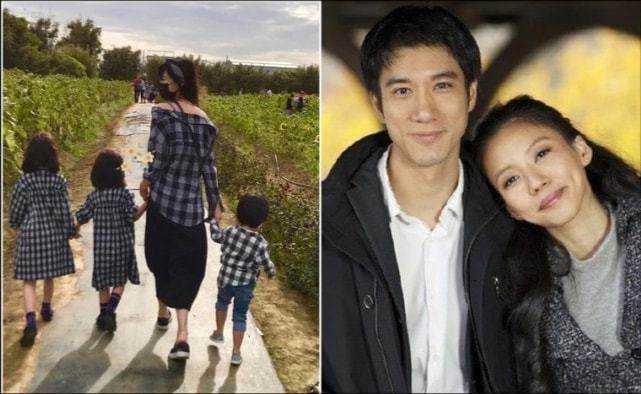 李靚蕾的家世背景深度解析，李靚蕾家世背景深度探究