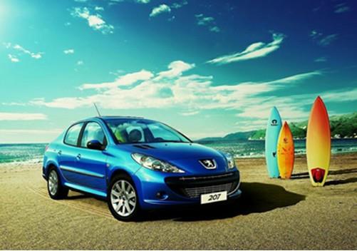 王中王307期指一生肖——深度解讀與SEO優(yōu)化，王中王307期生肖深度解讀與SEO優(yōu)化策略揭秘