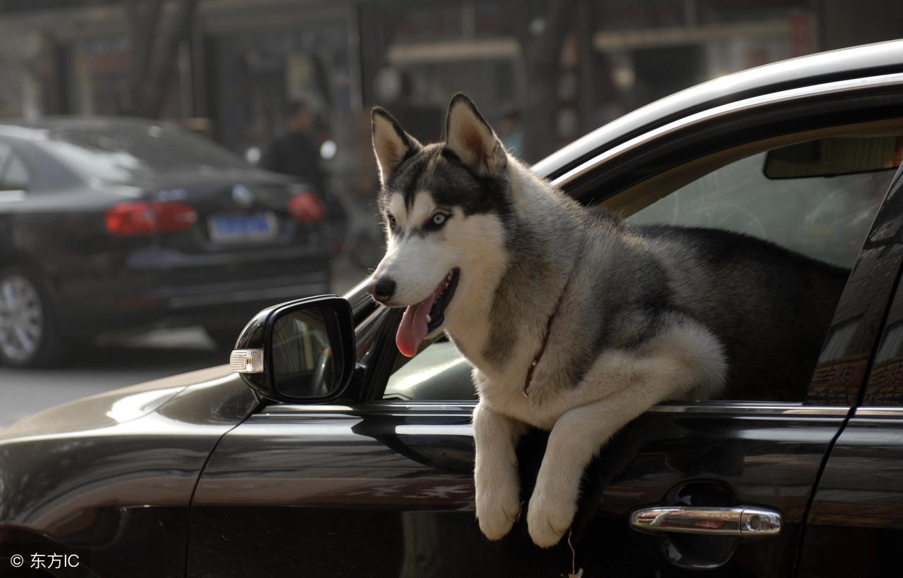 今晚九點三十分特馬開彩盛宴，揭秘彩票背后的秘密！，揭秘彩票背后的秘密，今晚九點三十分特馬開彩盛宴！