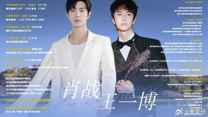 王中王一肖資料詳解，王中王一肖資料大全解析