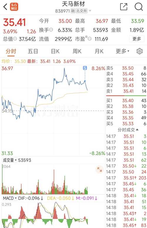 天馬微電子股票，投資前景深度解析，天馬微電子股票投資前景深度解析