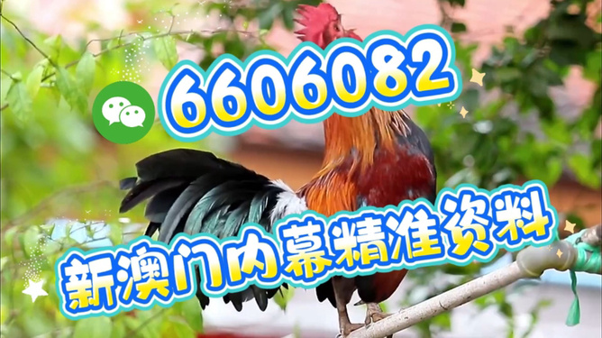 澳門特馬今天開(kāi)獎(jiǎng)結(jié)果，揭秘彩票背后的秘密，澳門特馬今天開(kāi)獎(jiǎng)結(jié)果揭秘，彩票背后的秘密大揭曉